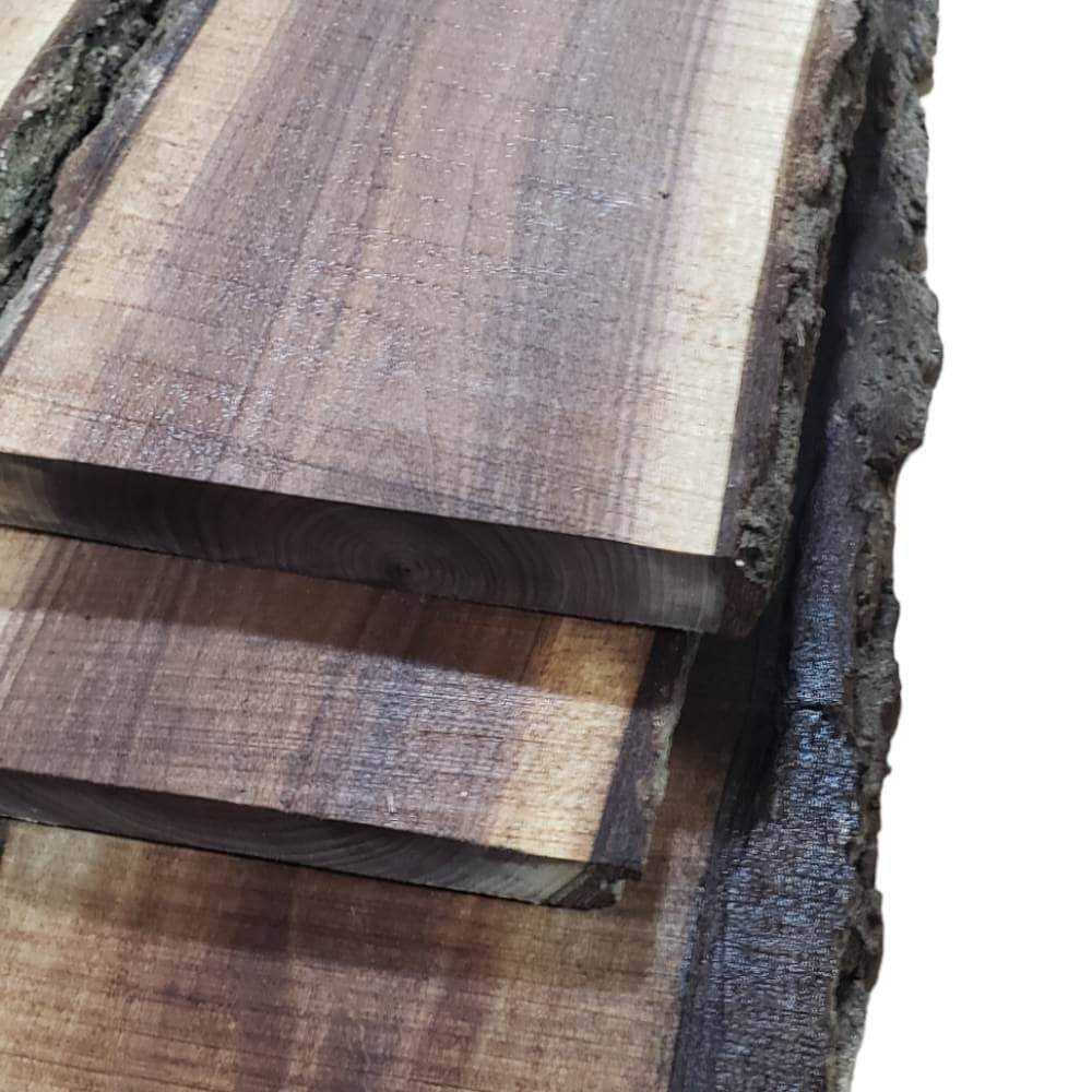 2ft Black Walnut Live Edge Slabs 1 1/4" to 1 1/2" Thick