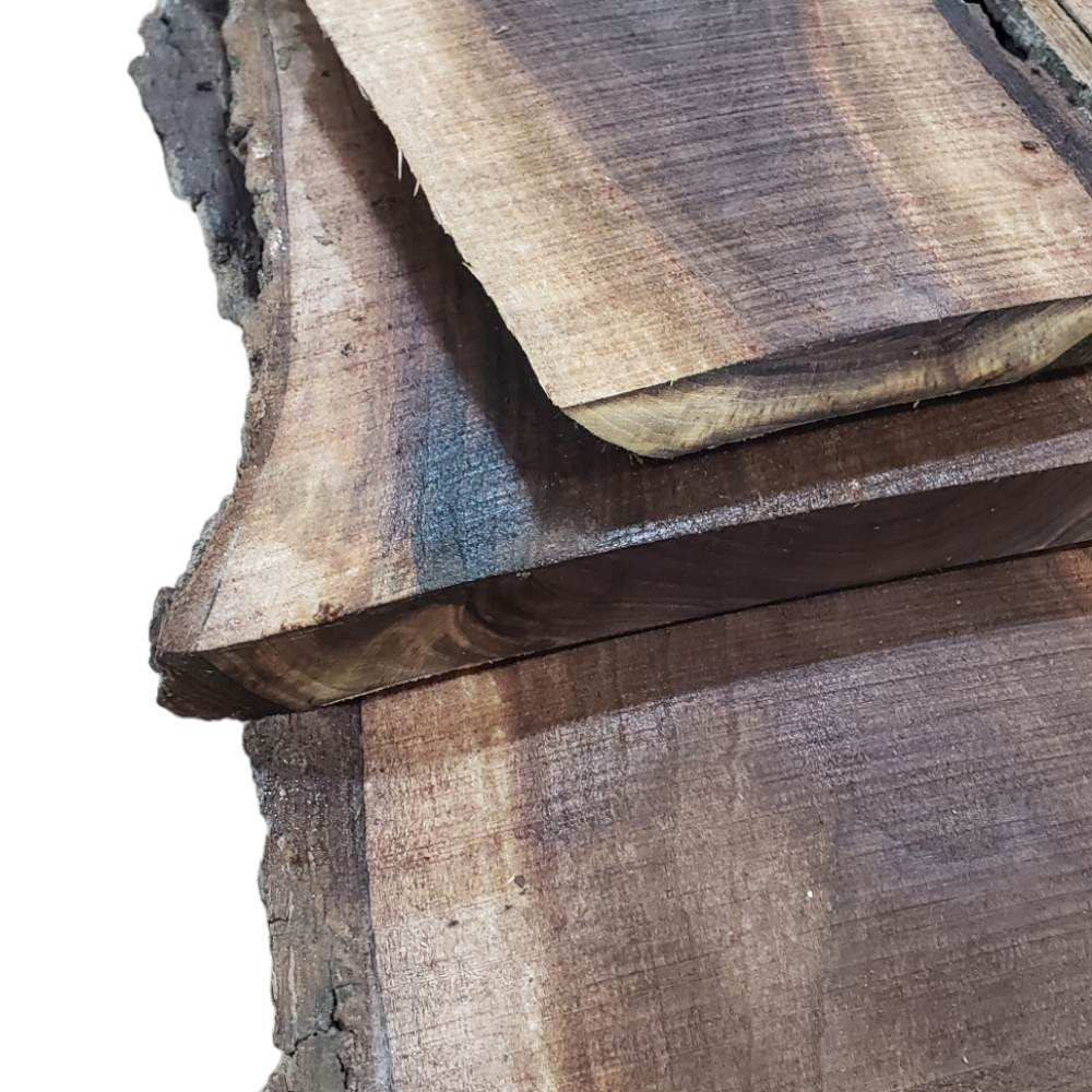 2ft Long Sapwood One Side Walnut Live Edge Slab