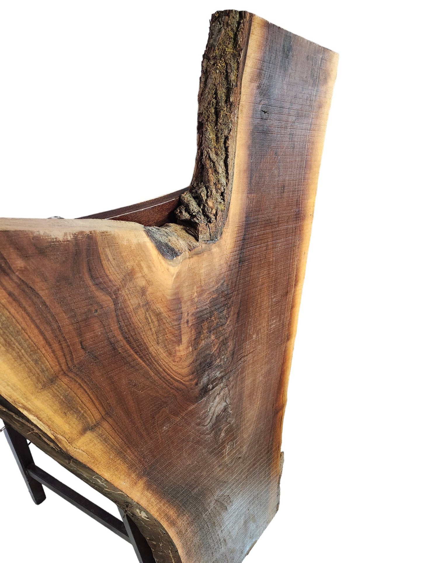 Black Walnut Crotch Figure Live Edge Slab **FREE SHIPPING** Perfect for coffee table!