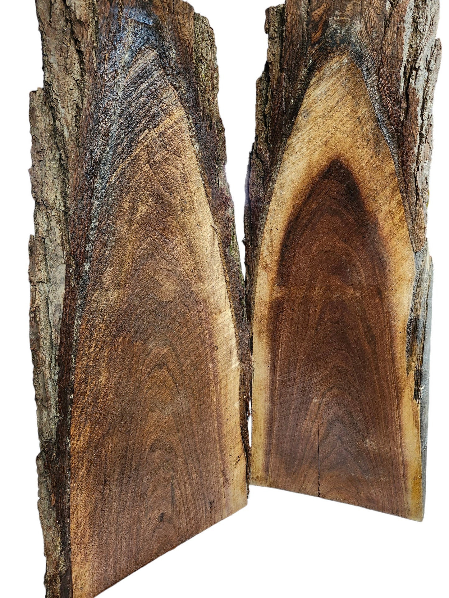 Black Walnut Live Edge Slabs **2 PACK**Rustic**FREE SHIPPING**