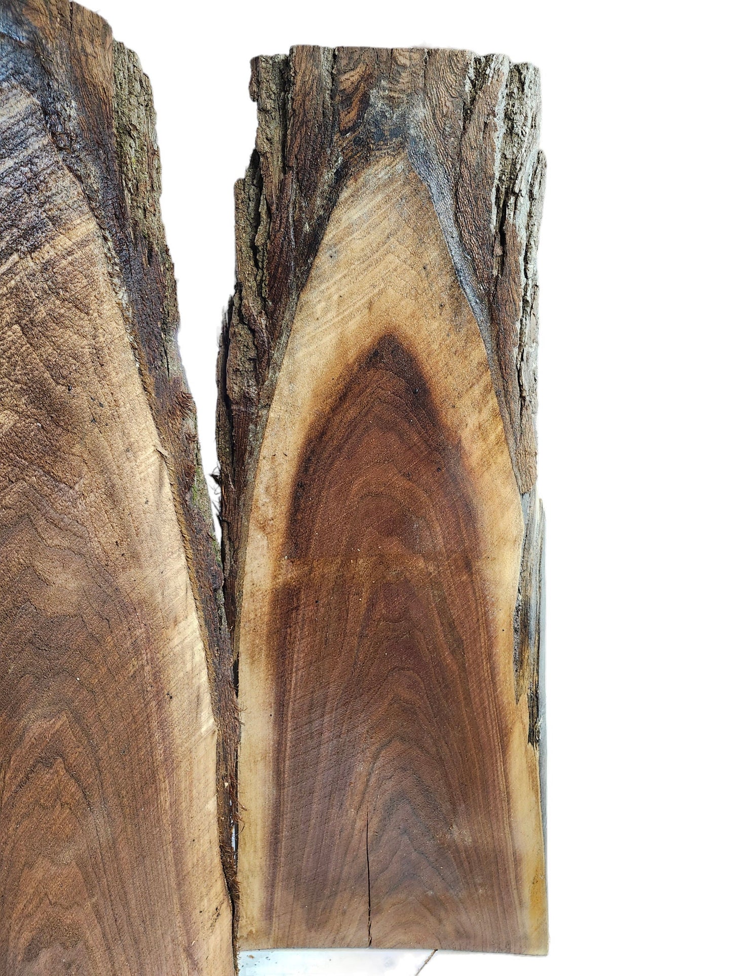 Black Walnut Live Edge Slabs **2 PACK**Rustic**FREE SHIPPING**