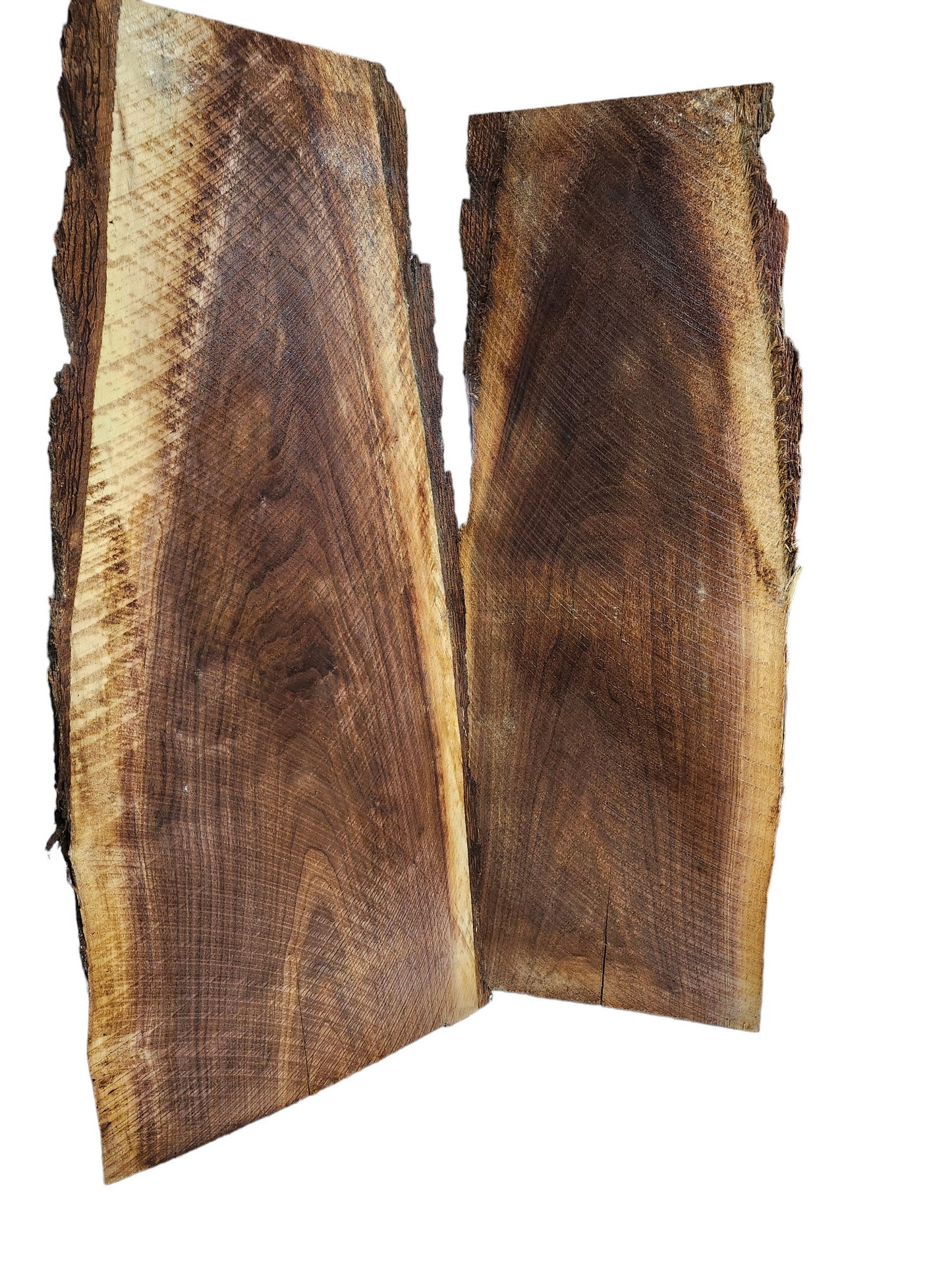 Black Walnut Live Edge Slabs **2 PACK**Rustic**FREE SHIPPING**