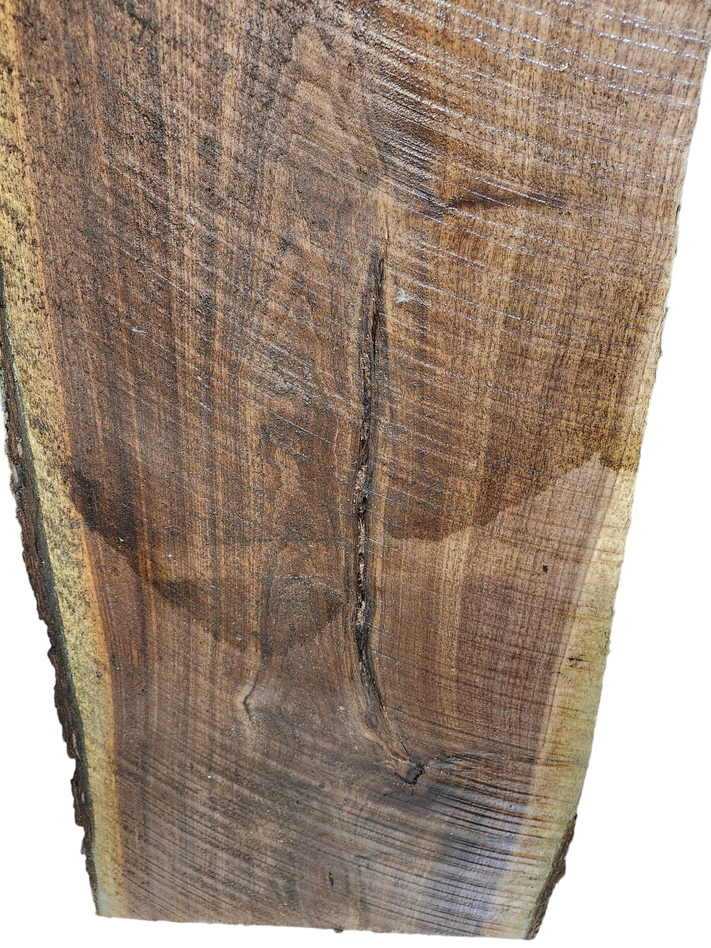 Rustic Black Walnut Live Edge Slab **FREE SHIPPING**