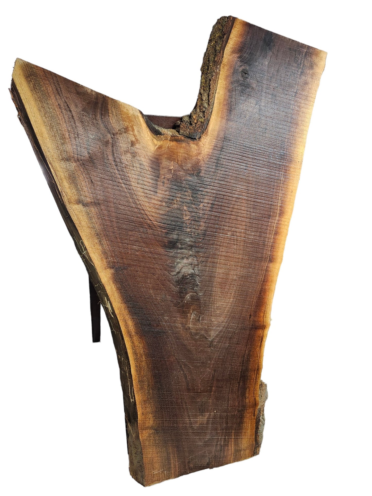 Black Walnut Crotch Figure Live Edge Slab **FREE SHIPPING** Perfect for coffee table!