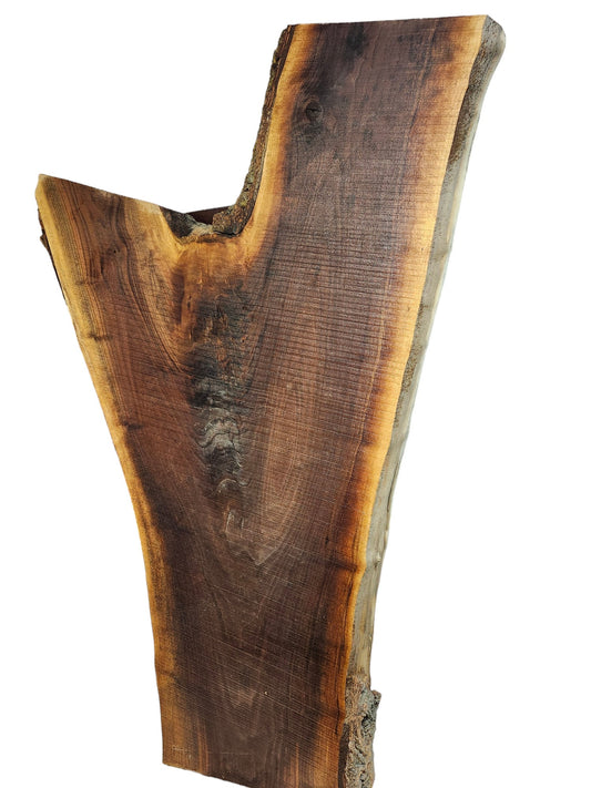 Black Walnut Crotch Figure Live Edge Slab **FREE SHIPPING** Perfect for coffee table!