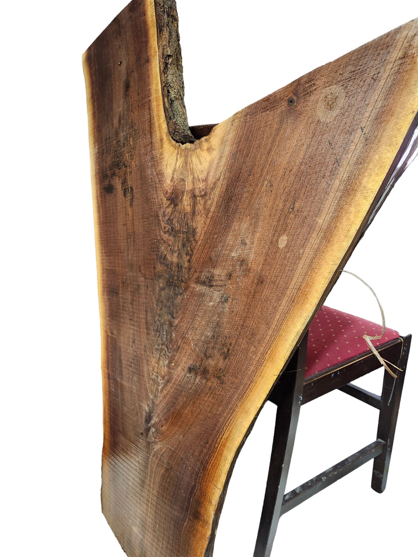 Black Walnut Crotch Figure Live Edge Slab **FREE SHIPPING** Perfect for coffee table!