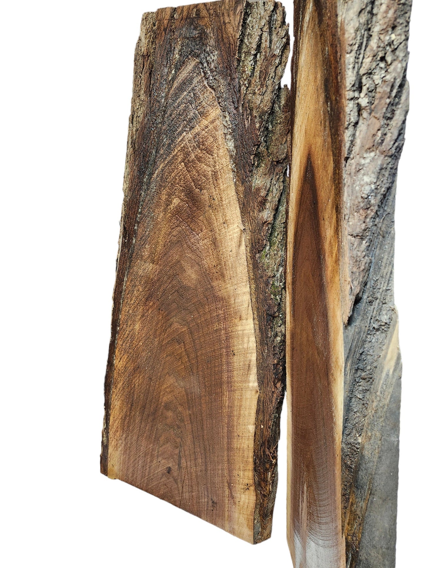 Black Walnut Live Edge Slabs **2 PACK**Rustic**FREE SHIPPING**