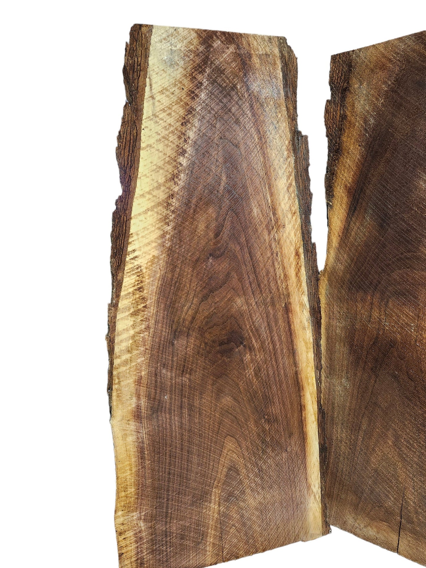 Black Walnut Live Edge Slabs **2 PACK**Rustic**FREE SHIPPING**