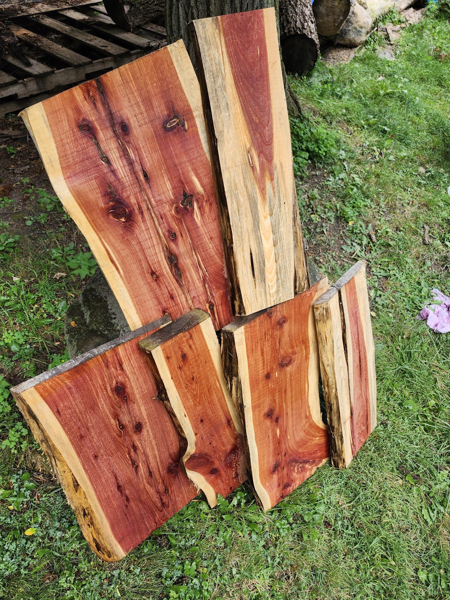 2ft Aromatic Eastern Red Cedar Live Edge Slabs - For DIY woodworking signs, trays, shelves, lasers, cnc&#39;s, and much more!