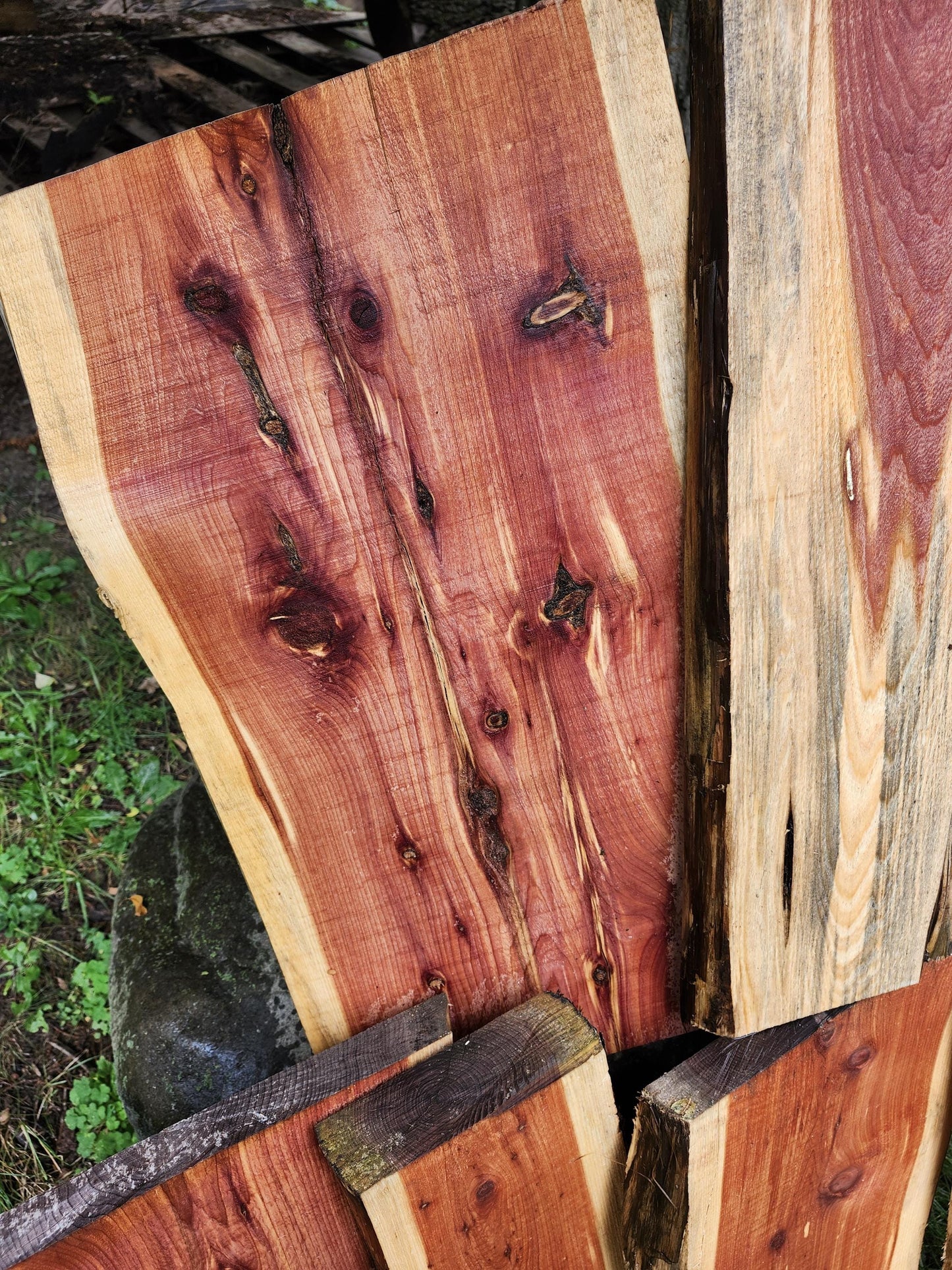 2ft Aromatic Eastern Red Cedar Live Edge Slabs - For DIY woodworking signs, trays, shelves, lasers, cnc&#39;s, and much more!