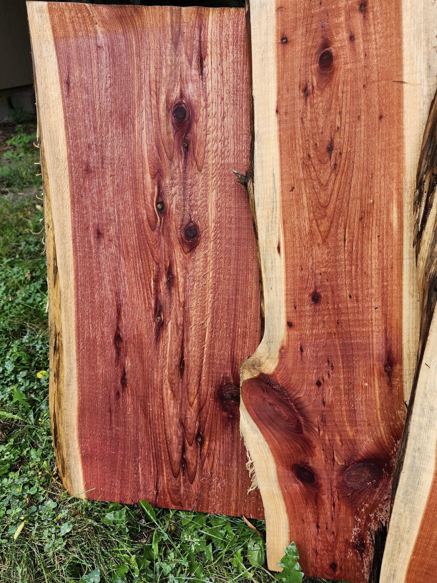 2ft Aromatic Eastern Red Cedar Live Edge Slabs - For DIY woodworking signs, trays, shelves, lasers, cnc&#39;s, and much more!