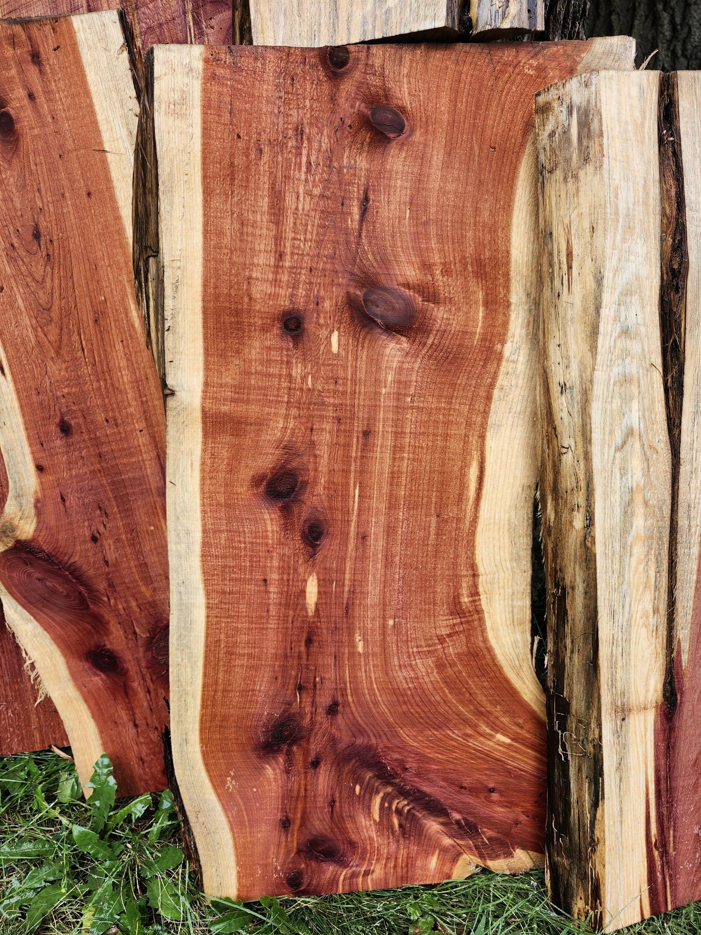 2ft Aromatic Eastern Red Cedar Live Edge Slabs - For DIY woodworking signs, trays, shelves, lasers, cnc&#39;s, and much more!