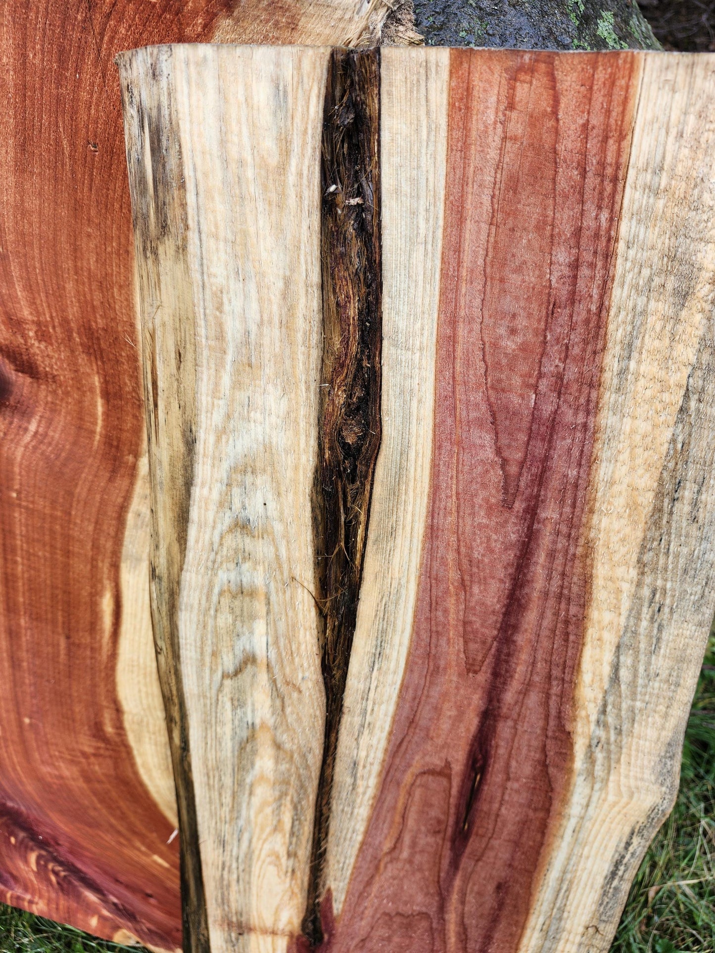 2ft Aromatic Eastern Red Cedar Live Edge Slabs - For DIY woodworking signs, trays, shelves, lasers, cnc&#39;s, and much more!