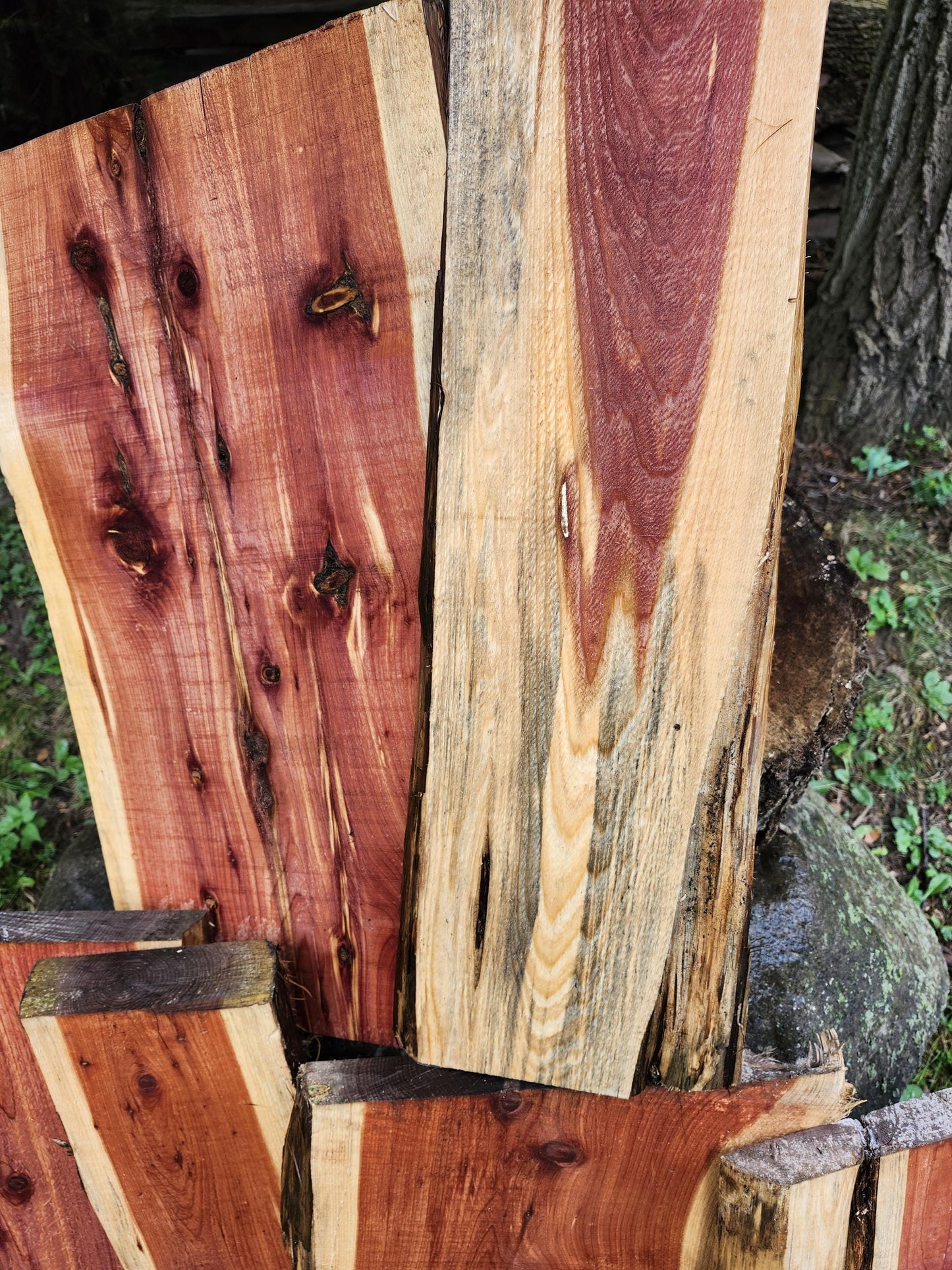 2ft Aromatic Eastern Red Cedar Live Edge Slabs - For DIY woodworking signs, trays, shelves, lasers, cnc&#39;s, and much more!