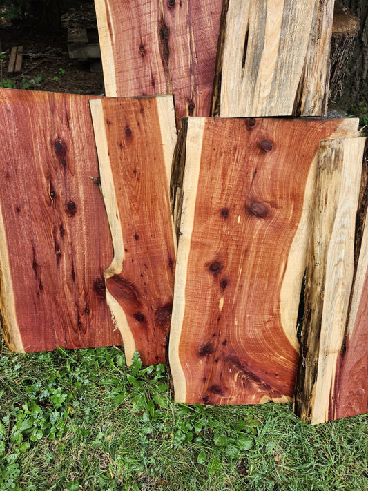 2ft Aromatic Eastern Red Cedar Live Edge Slabs - For DIY woodworking signs, trays, shelves, lasers, cnc&#39;s, and much more!