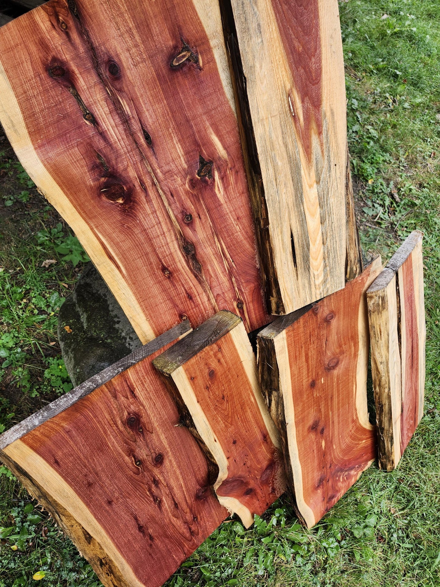 2ft Aromatic Eastern Red Cedar Live Edge Slabs - For DIY woodworking signs, trays, shelves, lasers, cnc&#39;s, and much more!