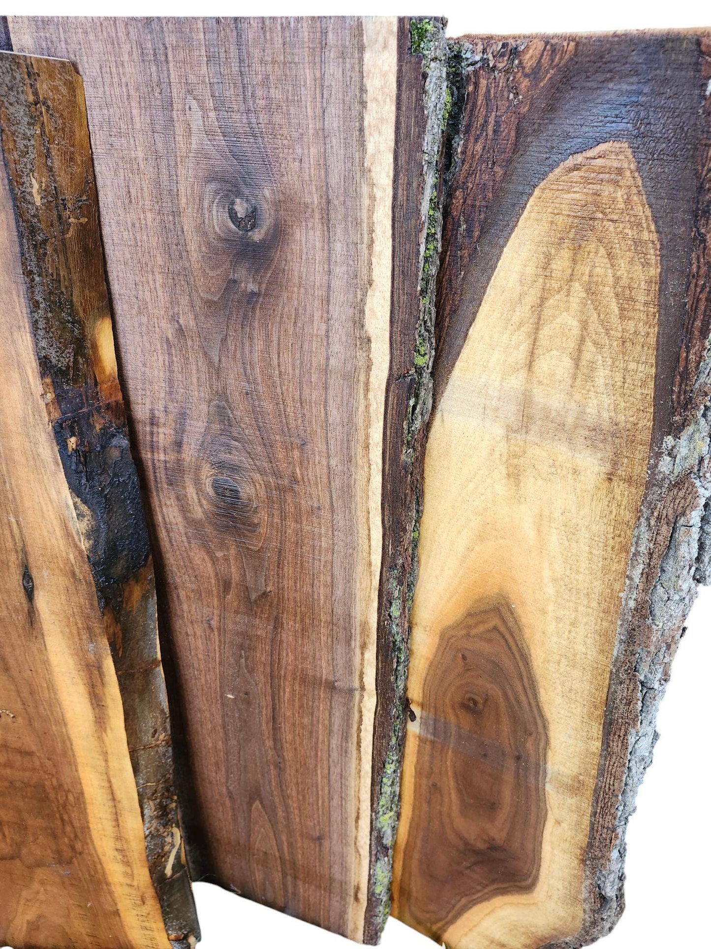 3ft Black Walnut Live Edge Slabs