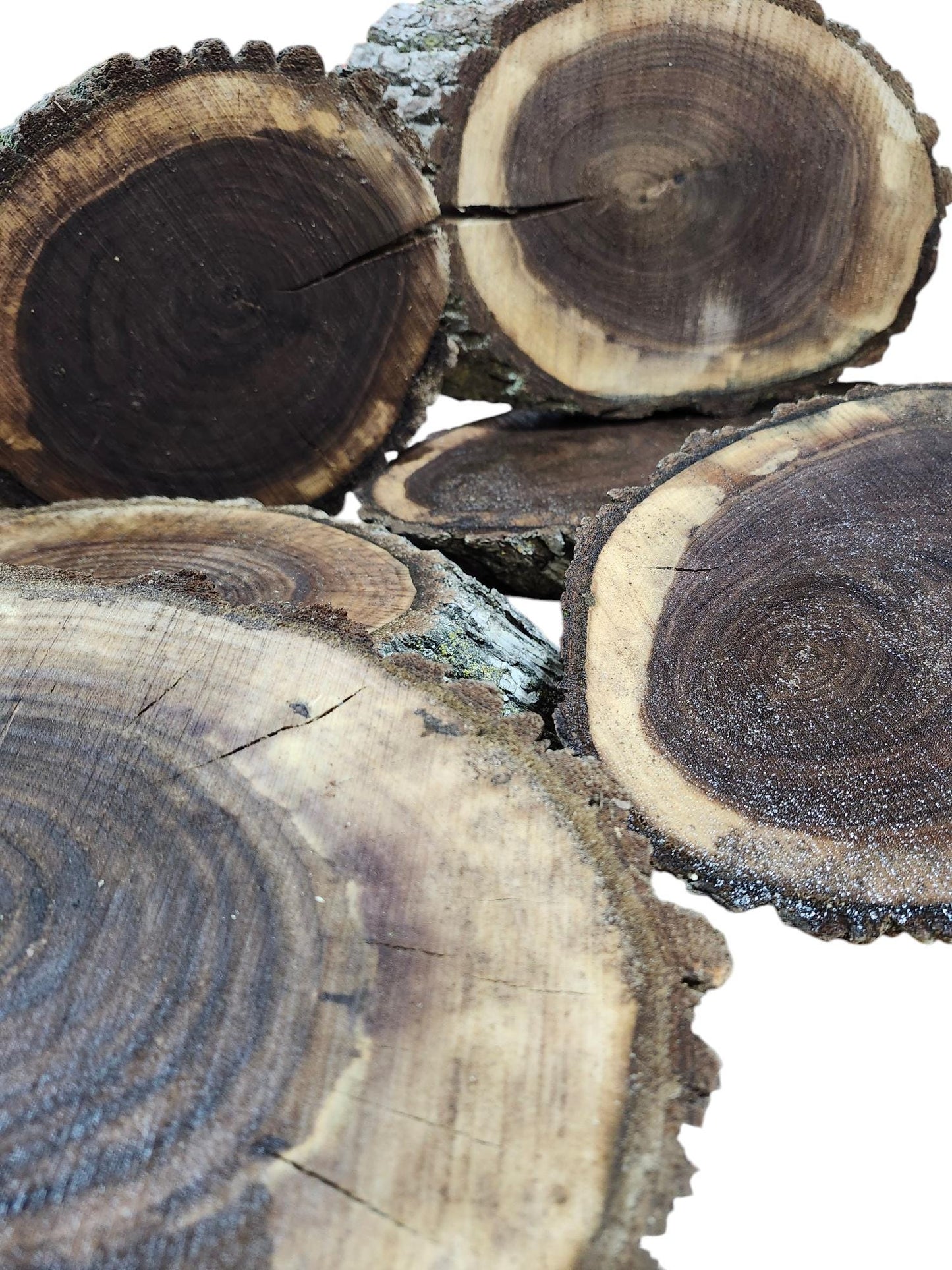 Black Walnut Live Edge Cookie and Oval Slabs- kiln dried - surfaced or rough sawn