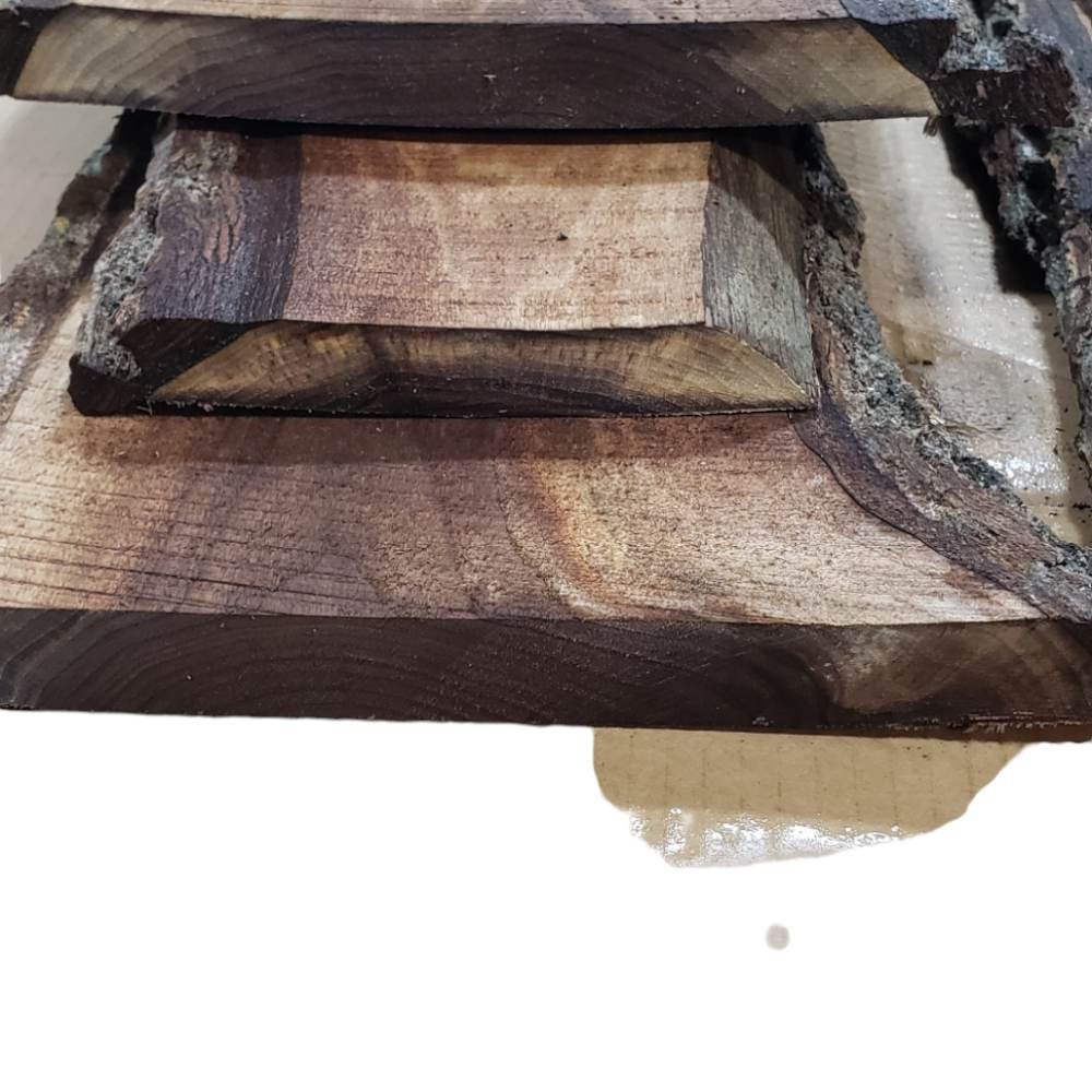 2ft Long Sapwood One Side Walnut Live Edge Slab