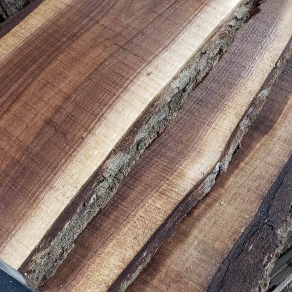 2ft Black Walnut Live Edge Slabs 1 1/4" to 1 1/2" Thick
