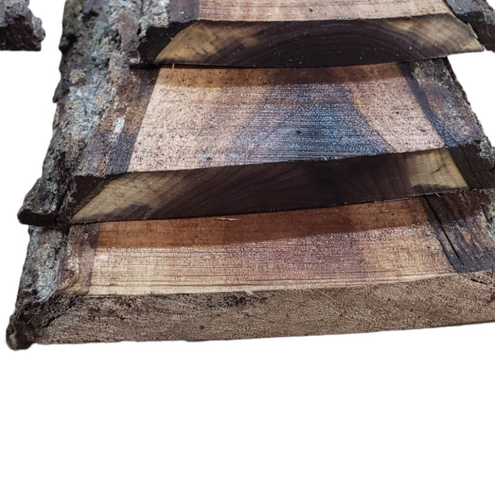2ft Long Sapwood One Side Walnut Live Edge Slab