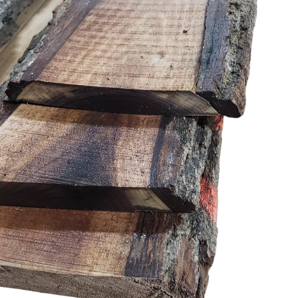 2ft Long Sapwood One Side Walnut Live Edge Slab