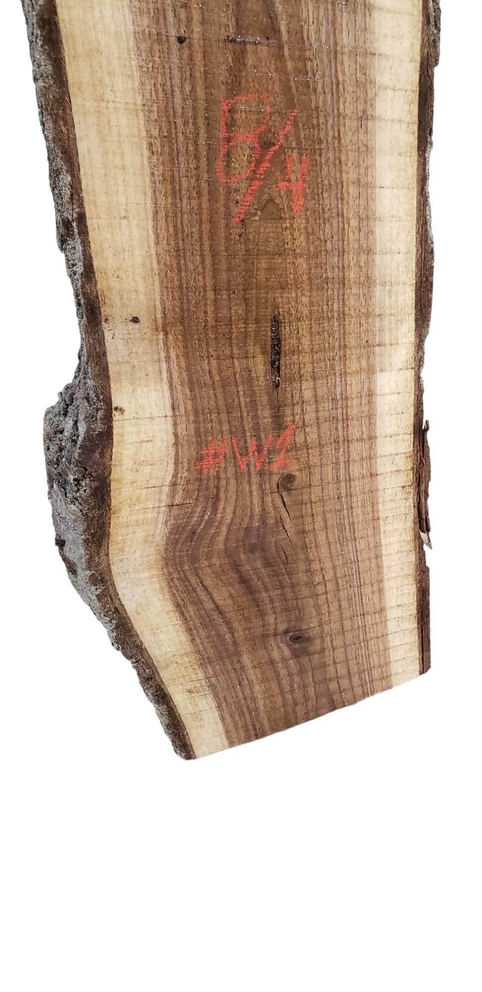 Black Walnut 8/4 Live Edge Slab (#W1) ** FREE SHIPPING **