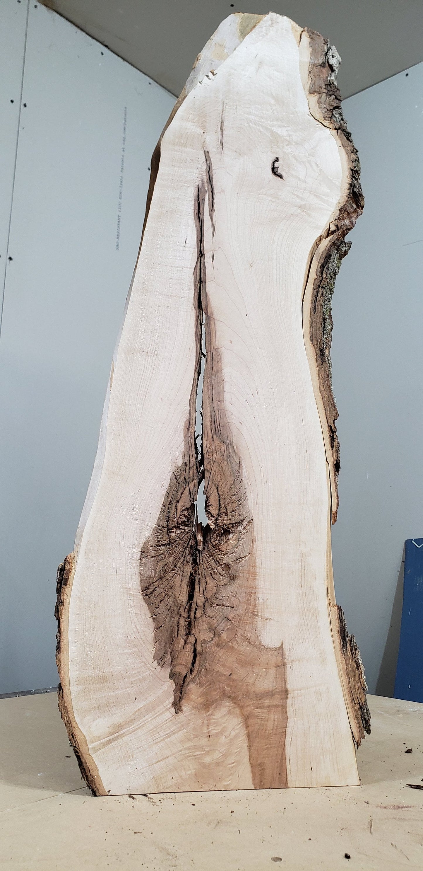 Pre Surfaced Maple Live Edge Slab (#MS1)