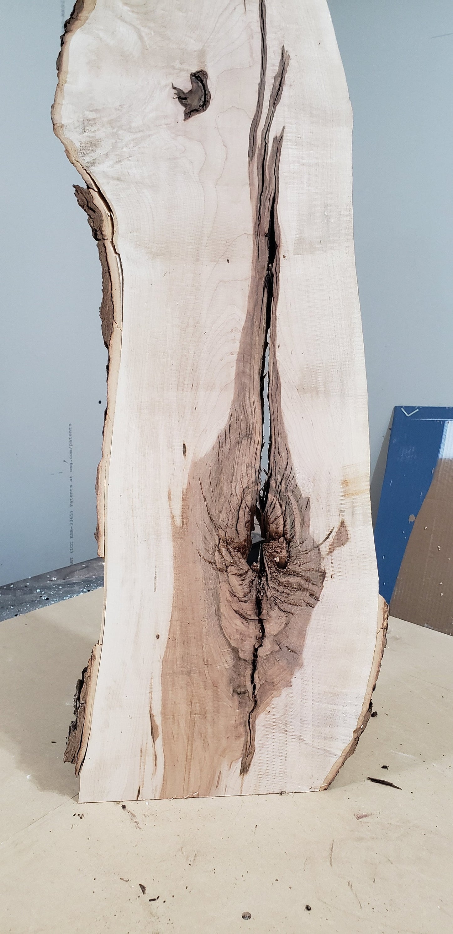 Pre Surfaced Maple Live Edge Slab (#MS1)