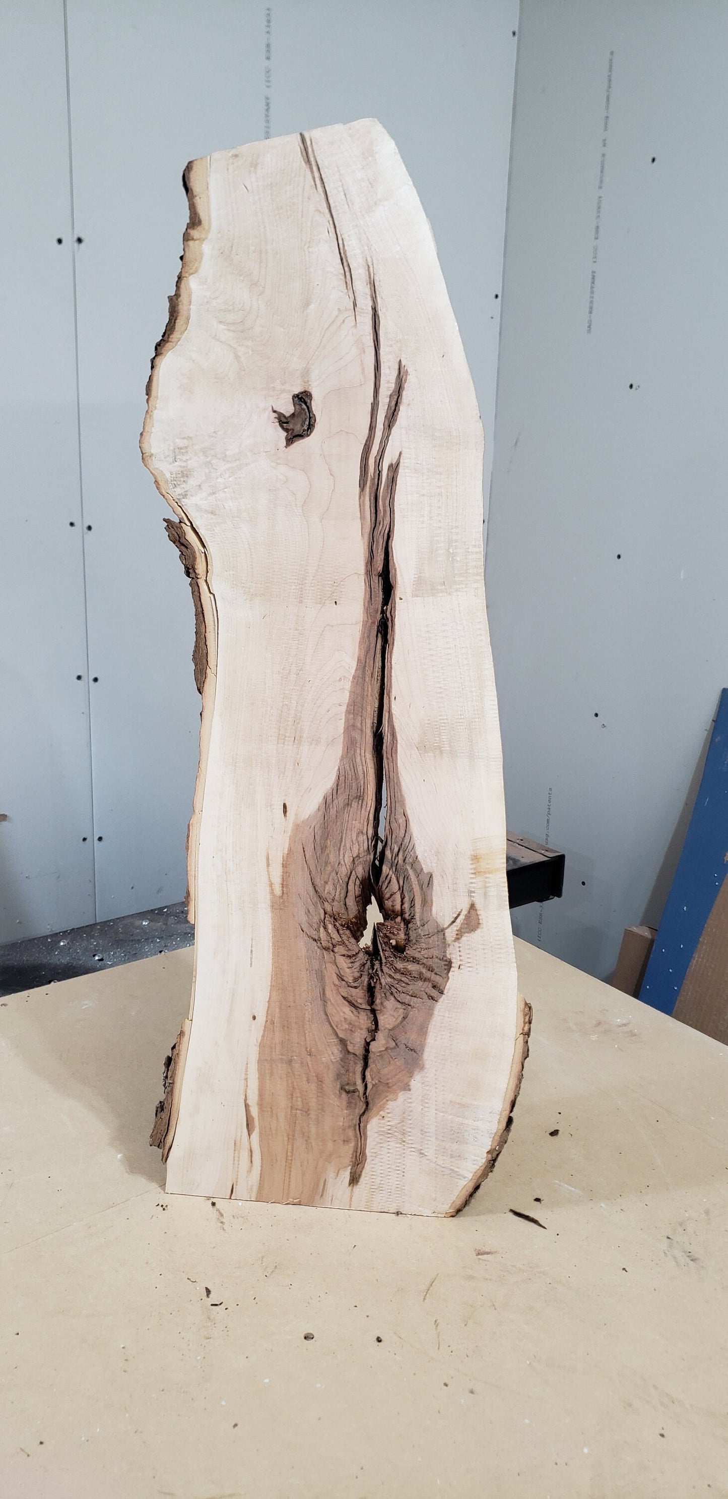 Pre Surfaced Maple Live Edge Slab (#MS1)