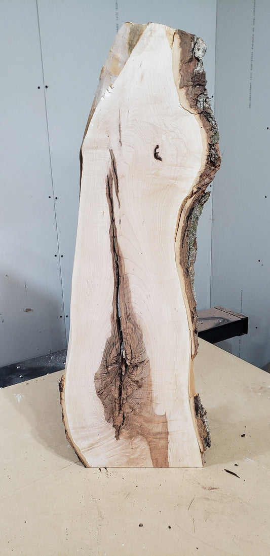 Pre Surfaced Maple Live Edge Slab (#MS1)