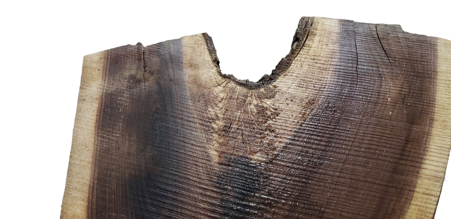 Walnut Live Edge Crotch Slab #CS1