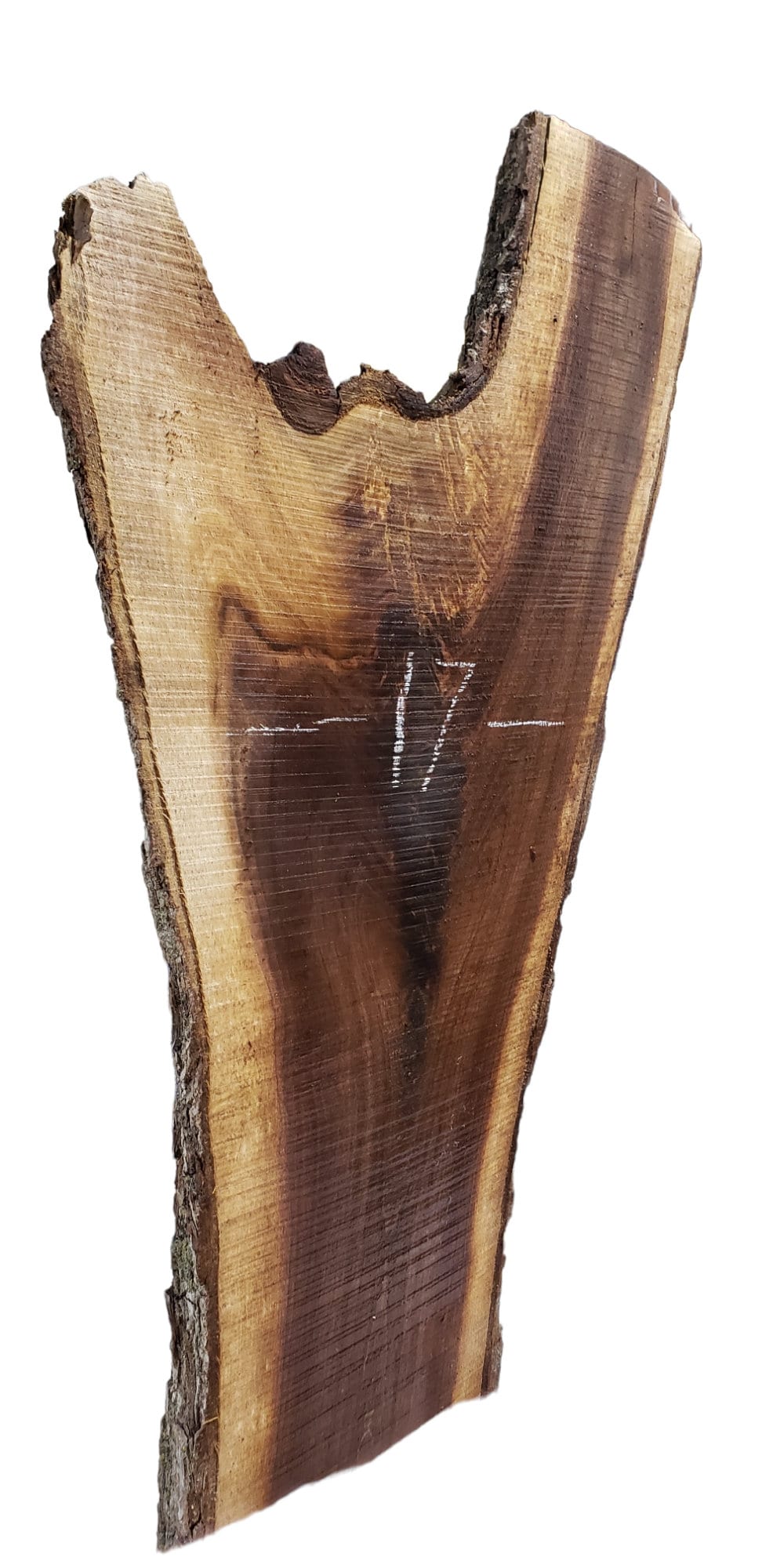 Walnut Live Edge Crotch Slab #CS2