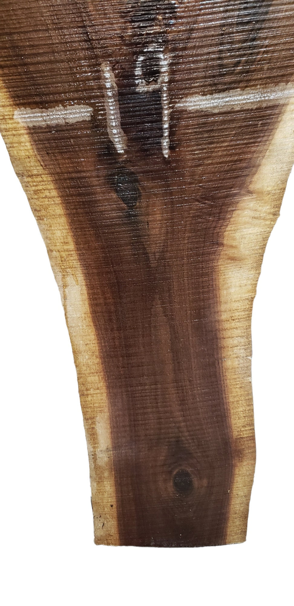 Walnut Live Edge Crotch Slab #CS3