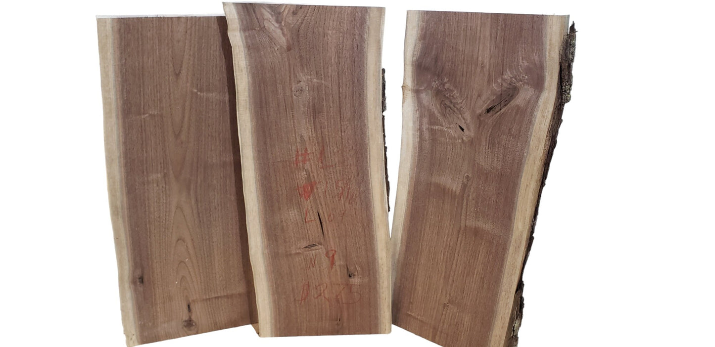 3 Pack Pre-Flattened Black Walnut Live Edge Slabs (#pk2)