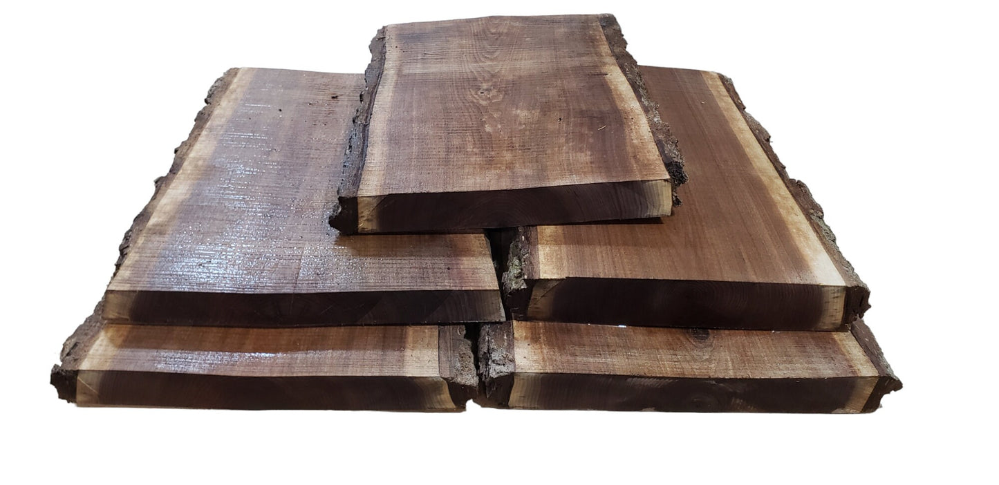 Thick 2ft Black Walnut Live Edge Slabs 1 3/4" to 2" Thick