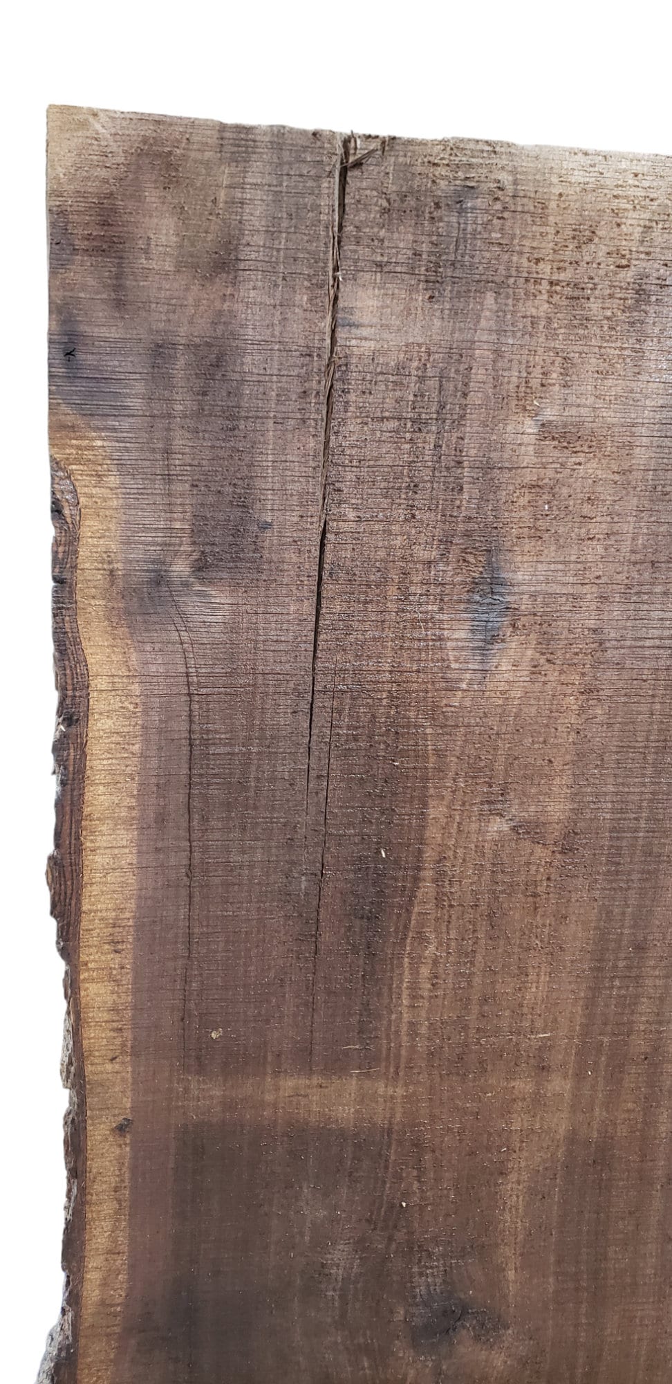 THICK Rustic Walnut Slab 35" Long x 16" Wide **FREE SHIPPING**(#TR1)