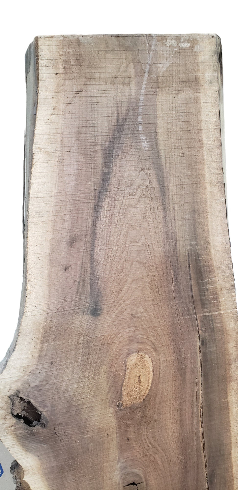 THICK Rustic Walnut Slab 34 3/4" Long x 13-17" Wide **FREE SHIPPING**(#TR6)