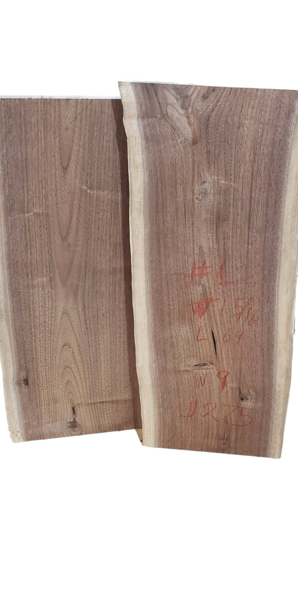 3 Pack Pre-Flattened Black Walnut Live Edge Slabs (#pk2)