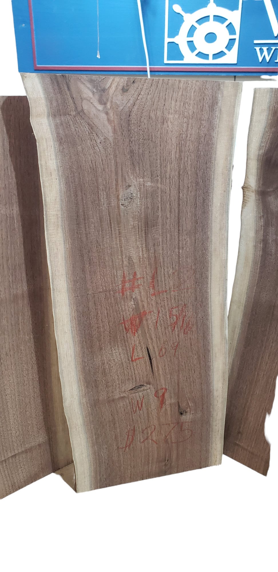 3 Pack Pre-Flattened Black Walnut Live Edge Slabs (#pk2)