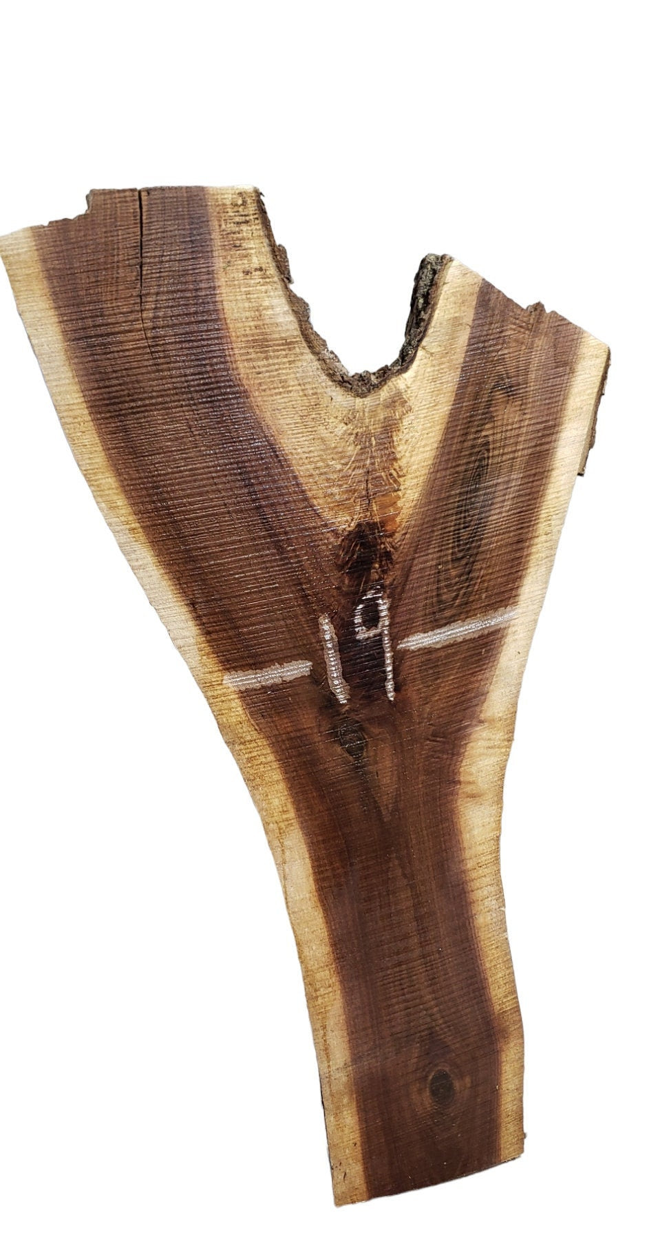 Walnut Live Edge Crotch Slab #CS3