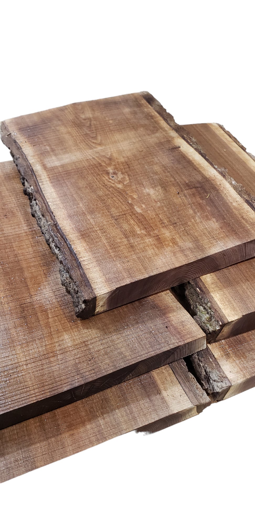 Thick 2ft Black Walnut Live Edge Slabs 1 3/4" to 2" Thick