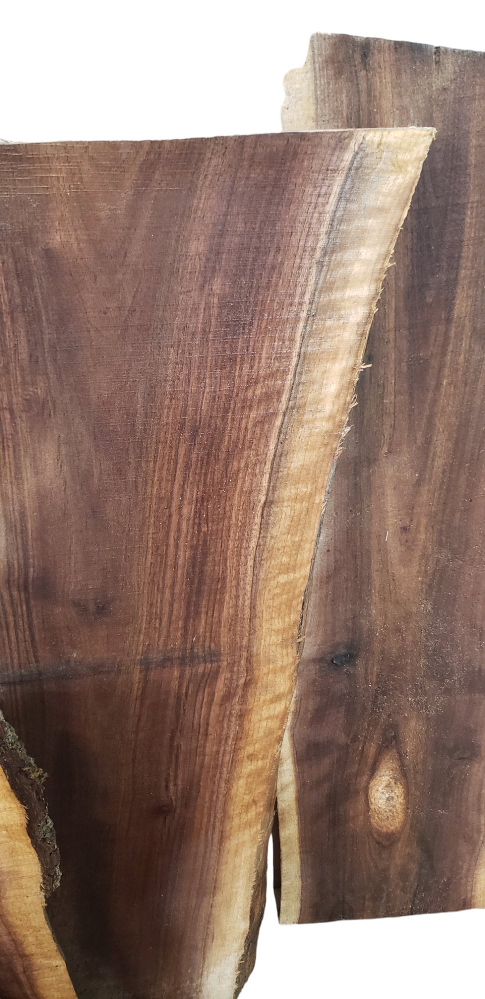 2ft Curly Black Walnut Live Edge Slabs 1 1/4" to 1 1/2" Thick