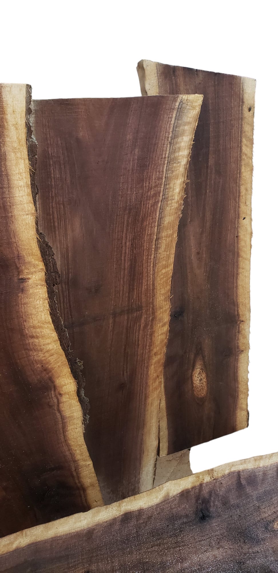 2ft Curly Black Walnut Live Edge Slabs 1 1/4" to 1 1/2" Thick