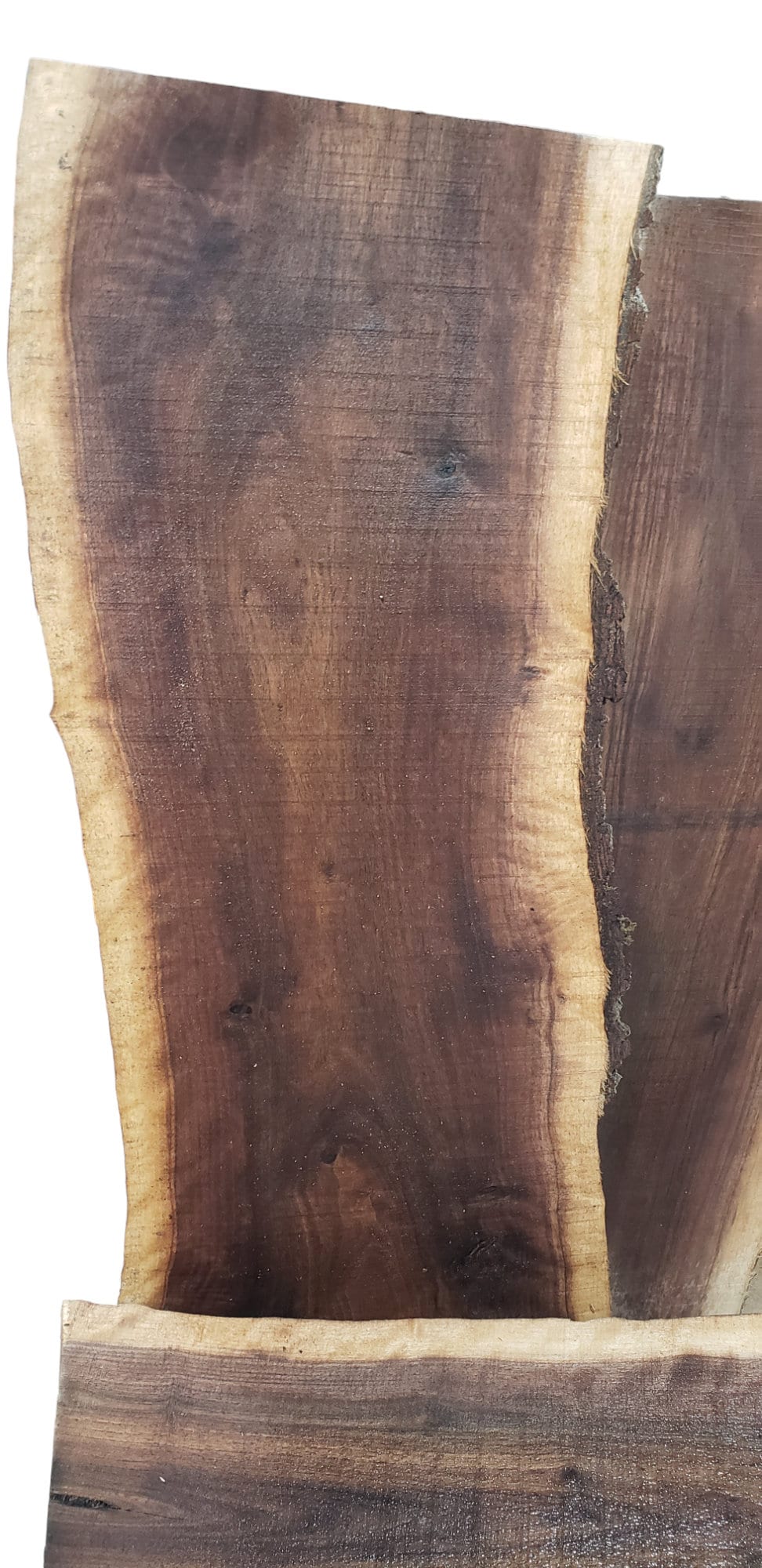 2ft Curly Black Walnut Live Edge Slabs 1 1/4" to 1 1/2" Thick