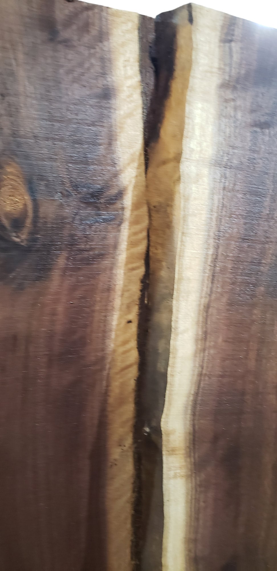 3ft Curly Black Walnut Live Edge Slabs 1 1/4" to 1 1/2" Thick **FREE SHIPPING**