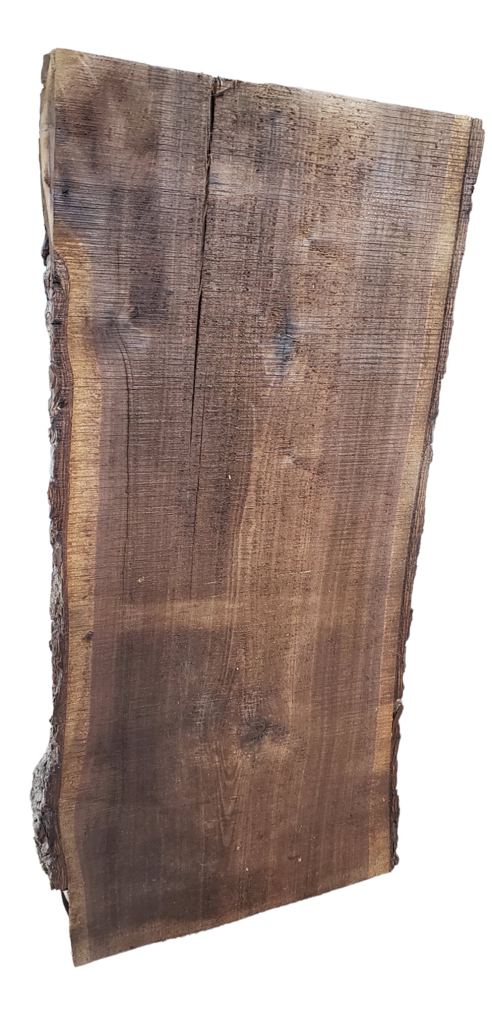 THICK Rustic Walnut Slab 35" Long x 16" Wide **FREE SHIPPING**(#TR1)