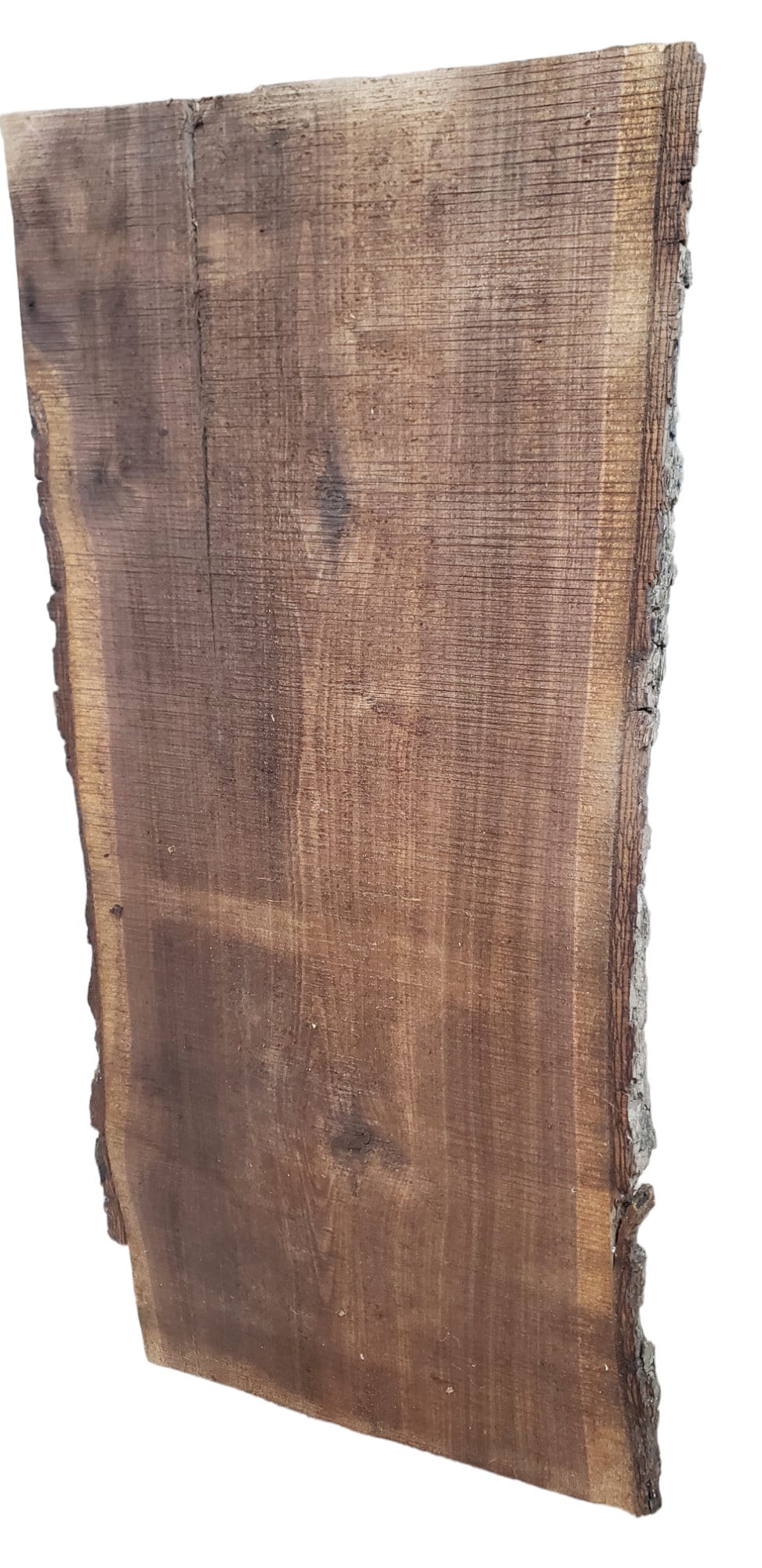 THICK Rustic Walnut Slab 35" Long x 16" Wide **FREE SHIPPING**(#TR1)