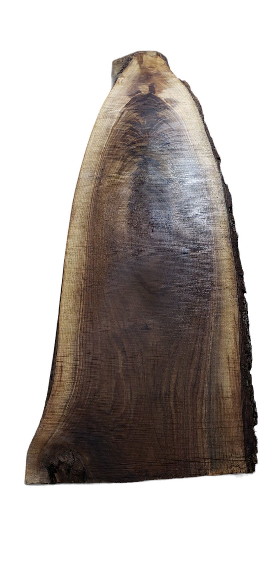 Walnut Live Edge Oval Slab Perfect For Coffee Table!