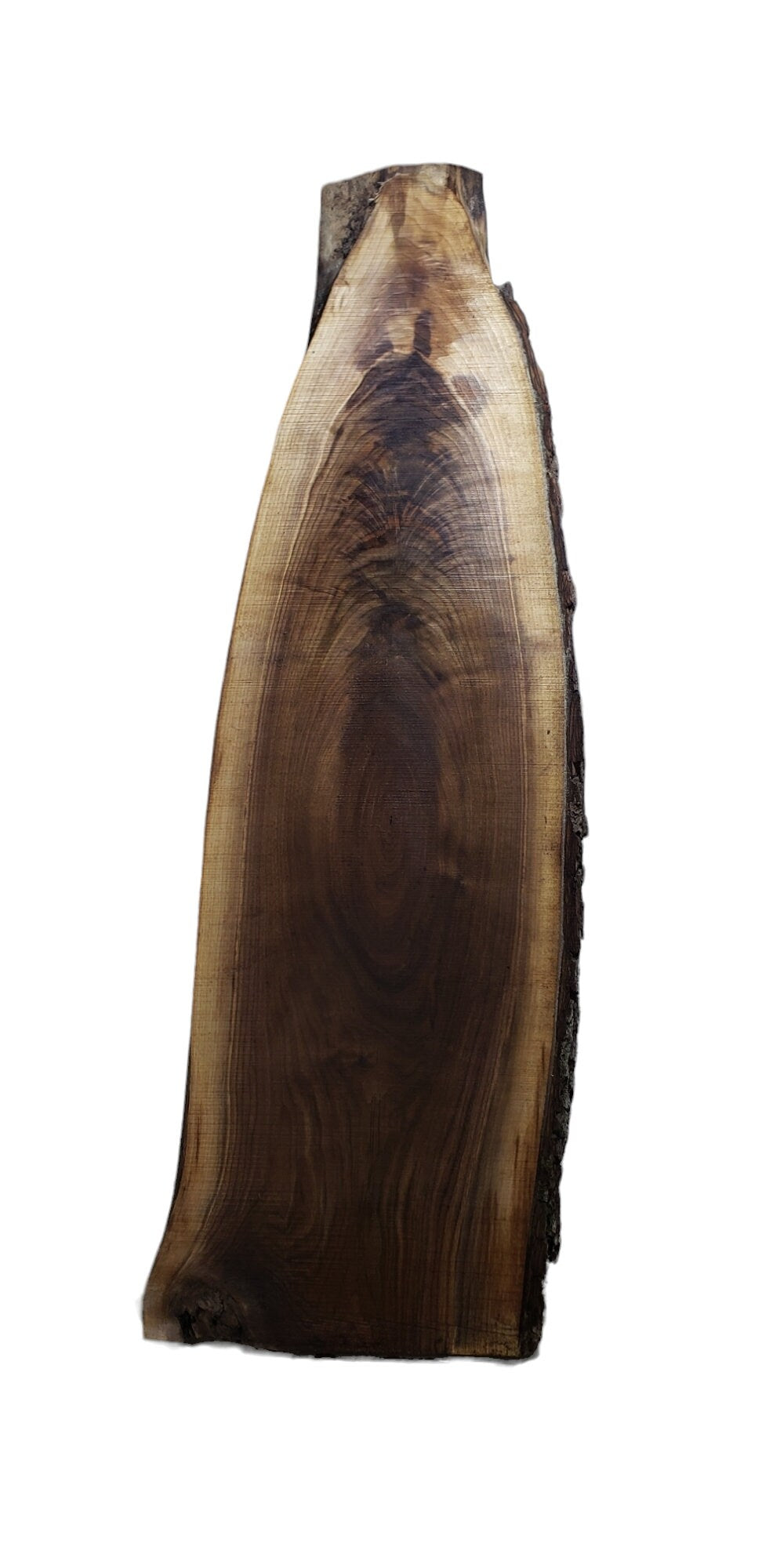 Walnut Live Edge Oval Slab Perfect For Coffee Table!